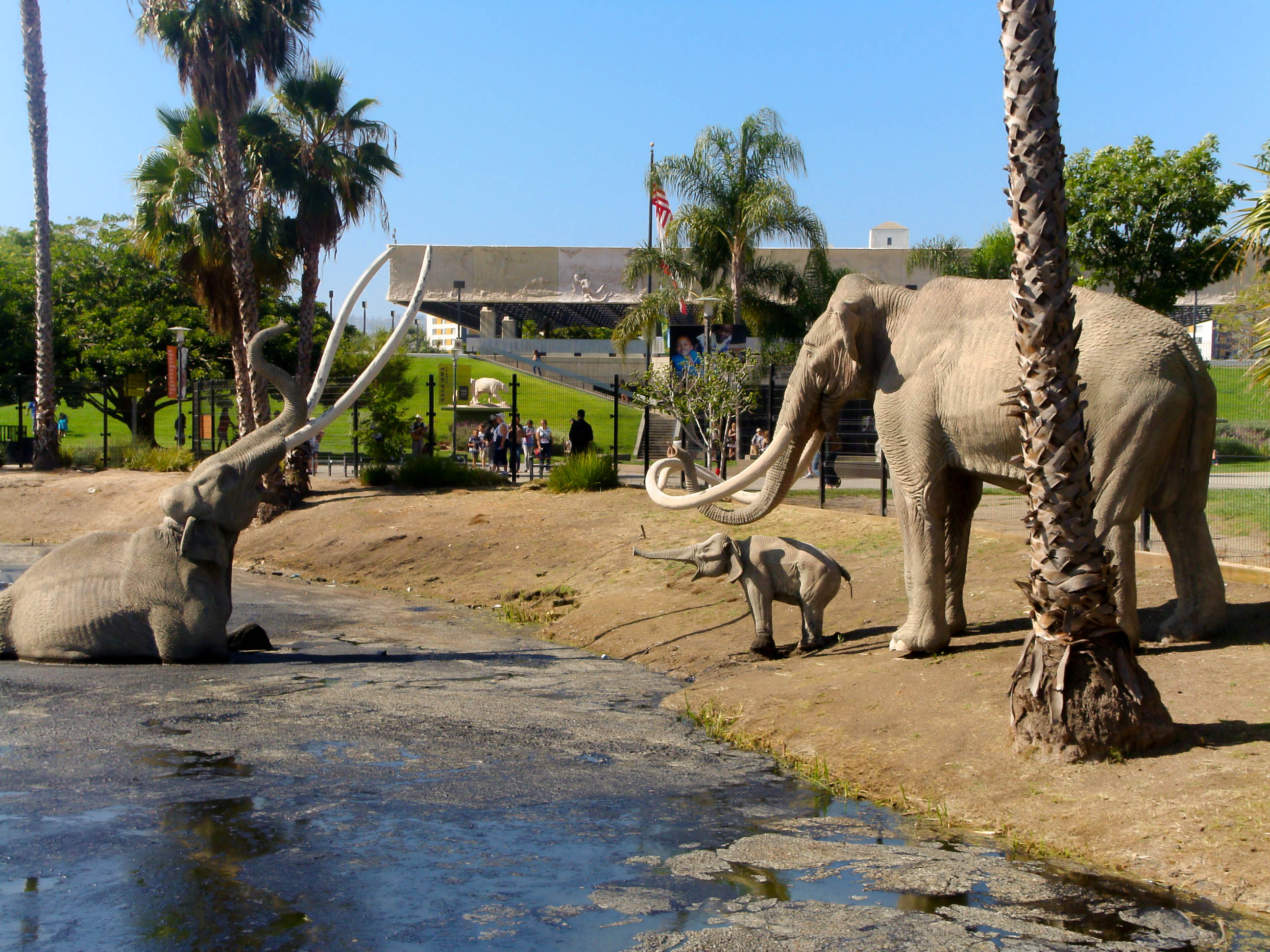 La Brea Tar Pits - A Surprising Find in the Heart of Los Angeles