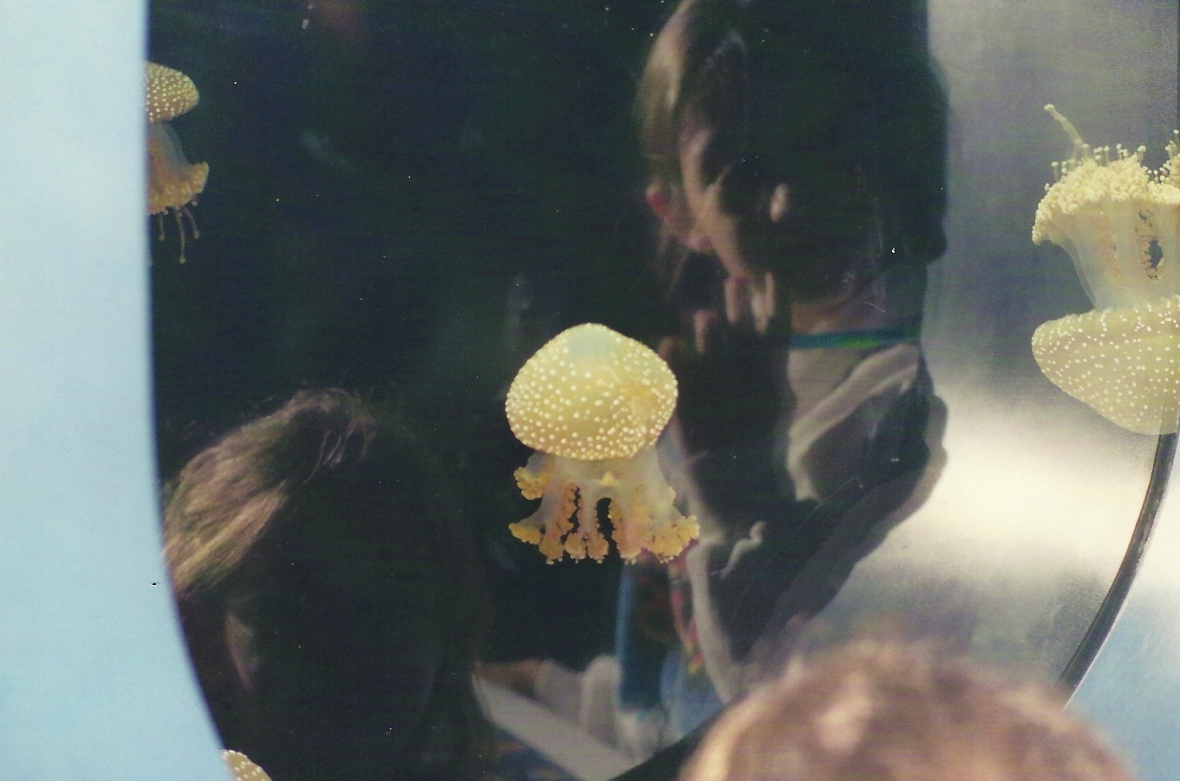 Long Beach Aquarium