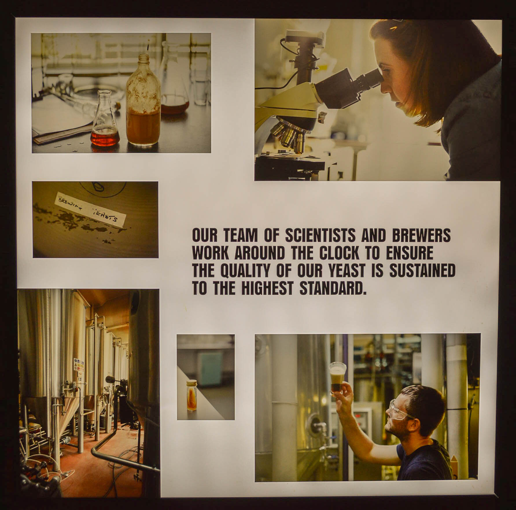 Brewing Science