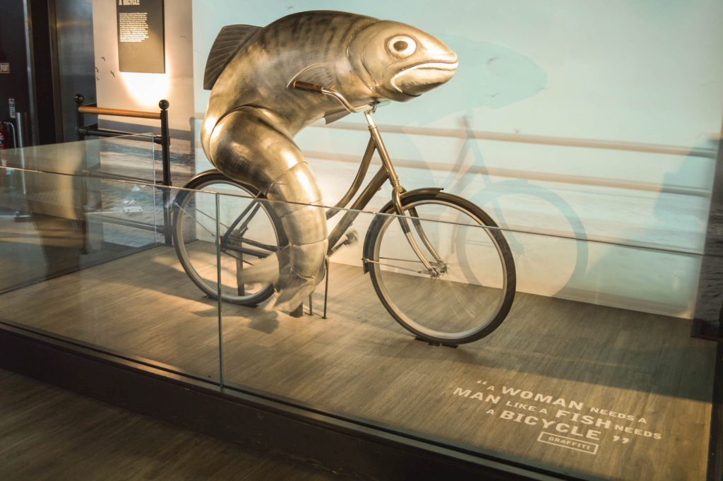 like a fish needs a bicycle
