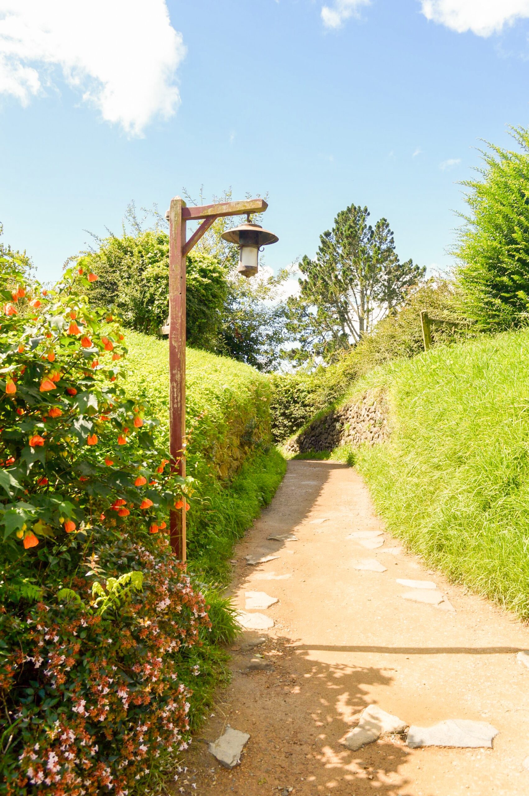 This pathway leads into the Shire, more specifically Hobbiton, which you can visit in New Zealand