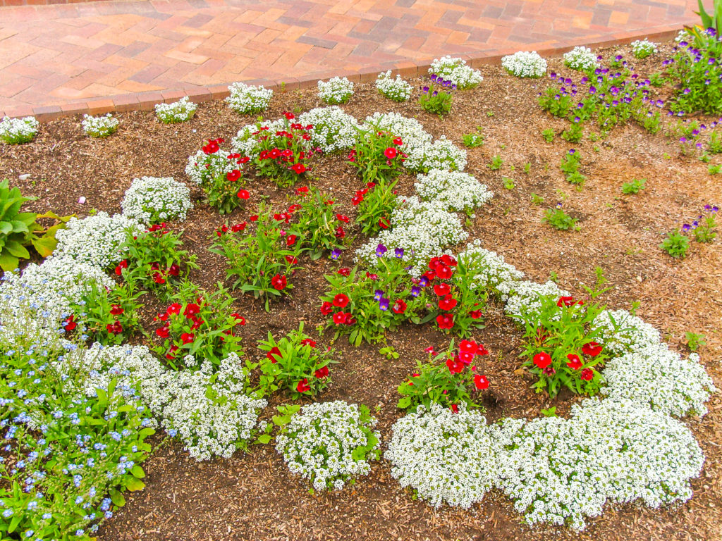 Heart made of flower beds on the ground