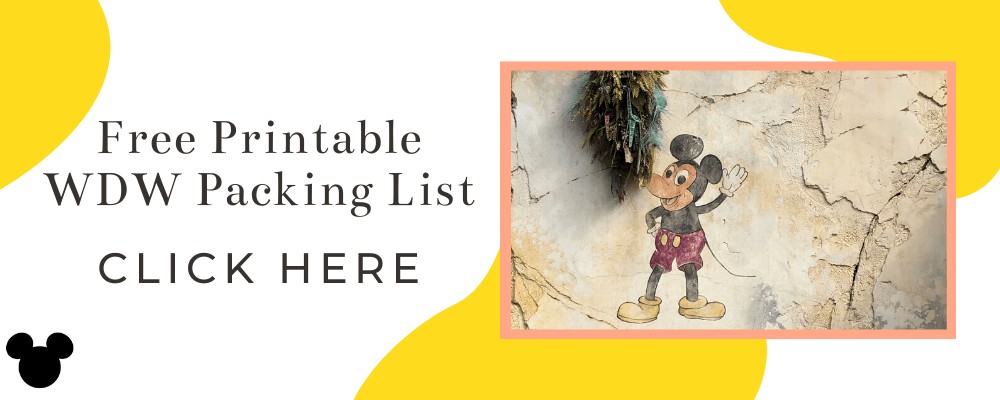 Free Printable Packing List for Disney World