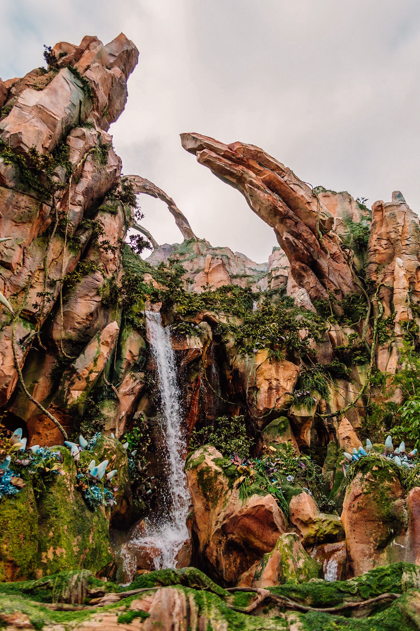 Pandora Avatar Walt Disney World, Flight of Passage