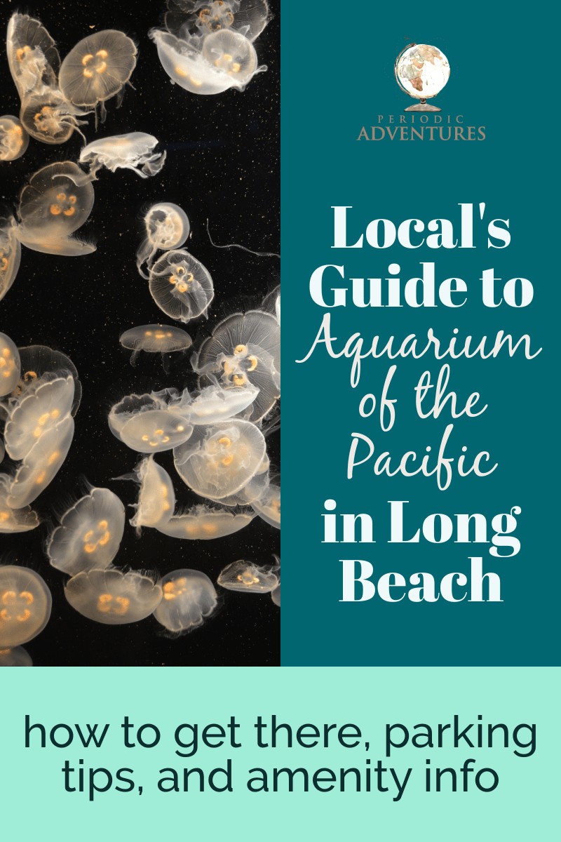 Gallery Detail: Local S Guide To The Aquarium Of The Pacific In