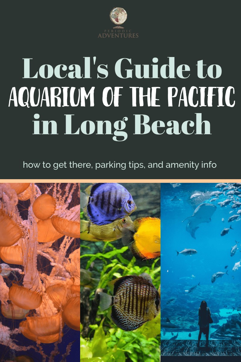 aquarium of the pacific in long beach california, things to do in long beach, aquarium of the pacific tips, outfits, long beach california aesthetic, travel guide, beautiful destinations