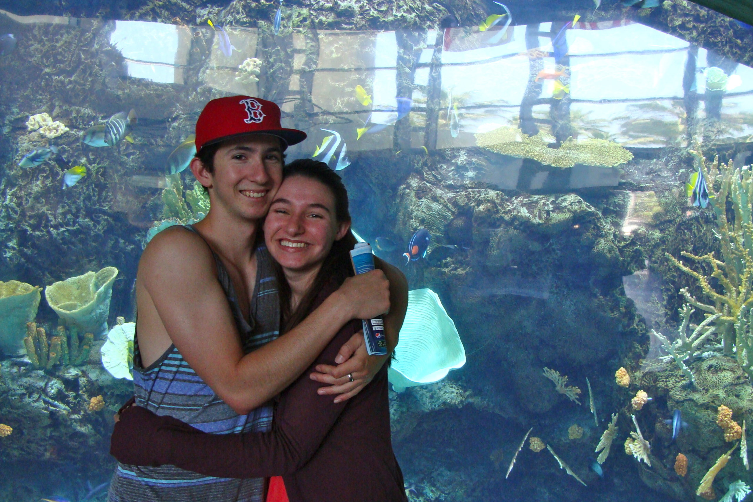 Aquarium of the Pacific Tank in Long Beach California Southern California, things to do in los angeles, couples dates in Los Angeles