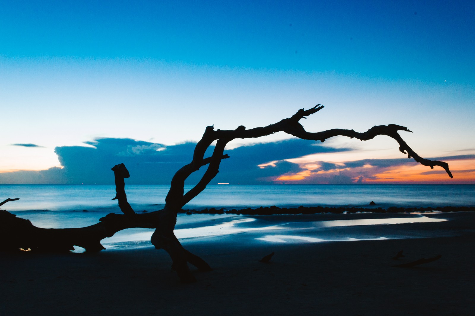 Crooked driftwood tree branch framing the cloudy sunrise on the horizon