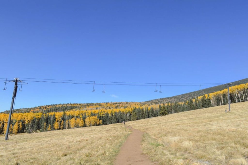 path leading to a forested area where the path travels under a ski lift in fall without snow and with a bright blue sky