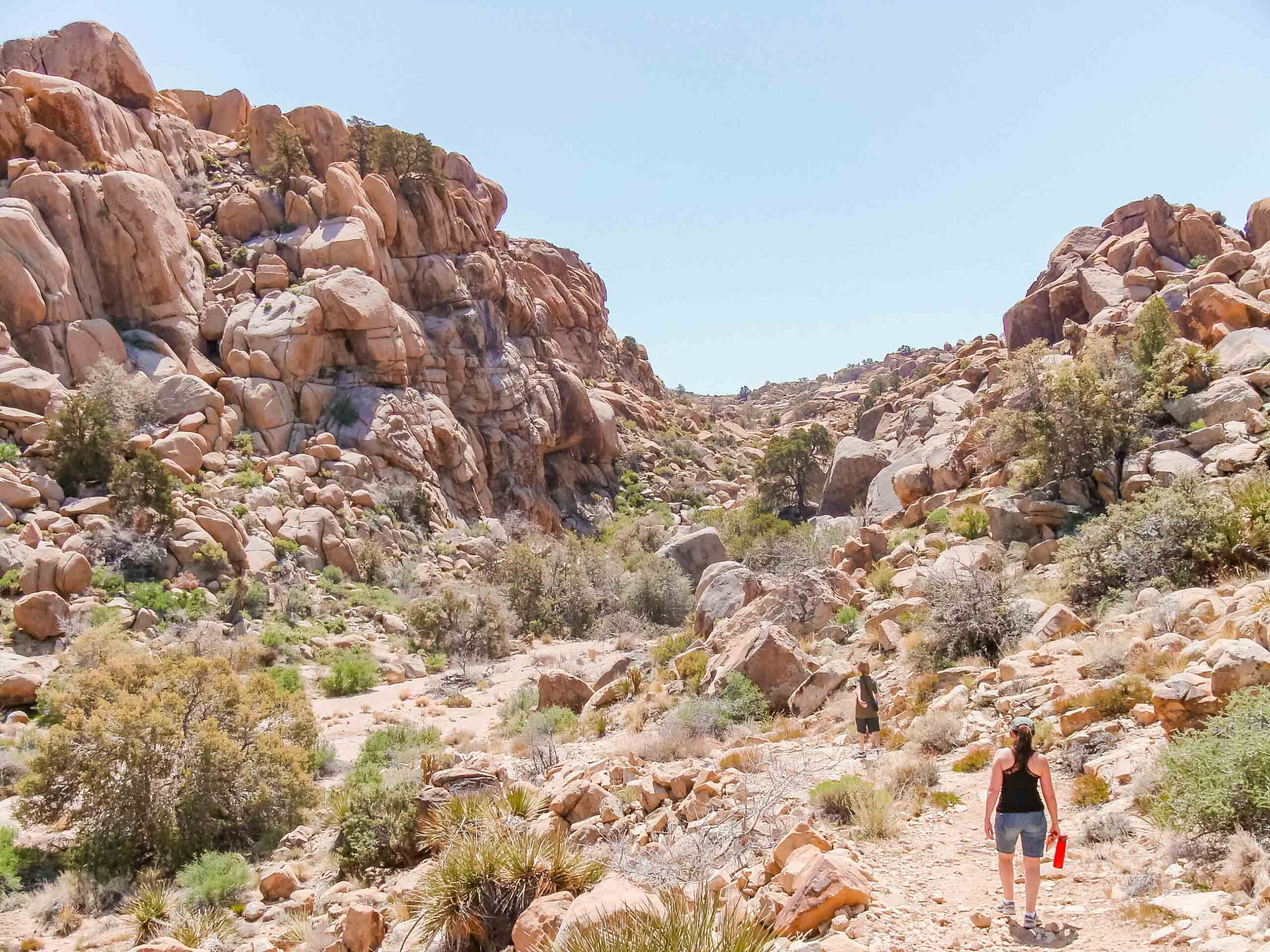 hiking trail through the California desert with lots of rocks, cliffs in the distance, and desert plants with a woman in black tank top and jean shorts walking on the path away from camera