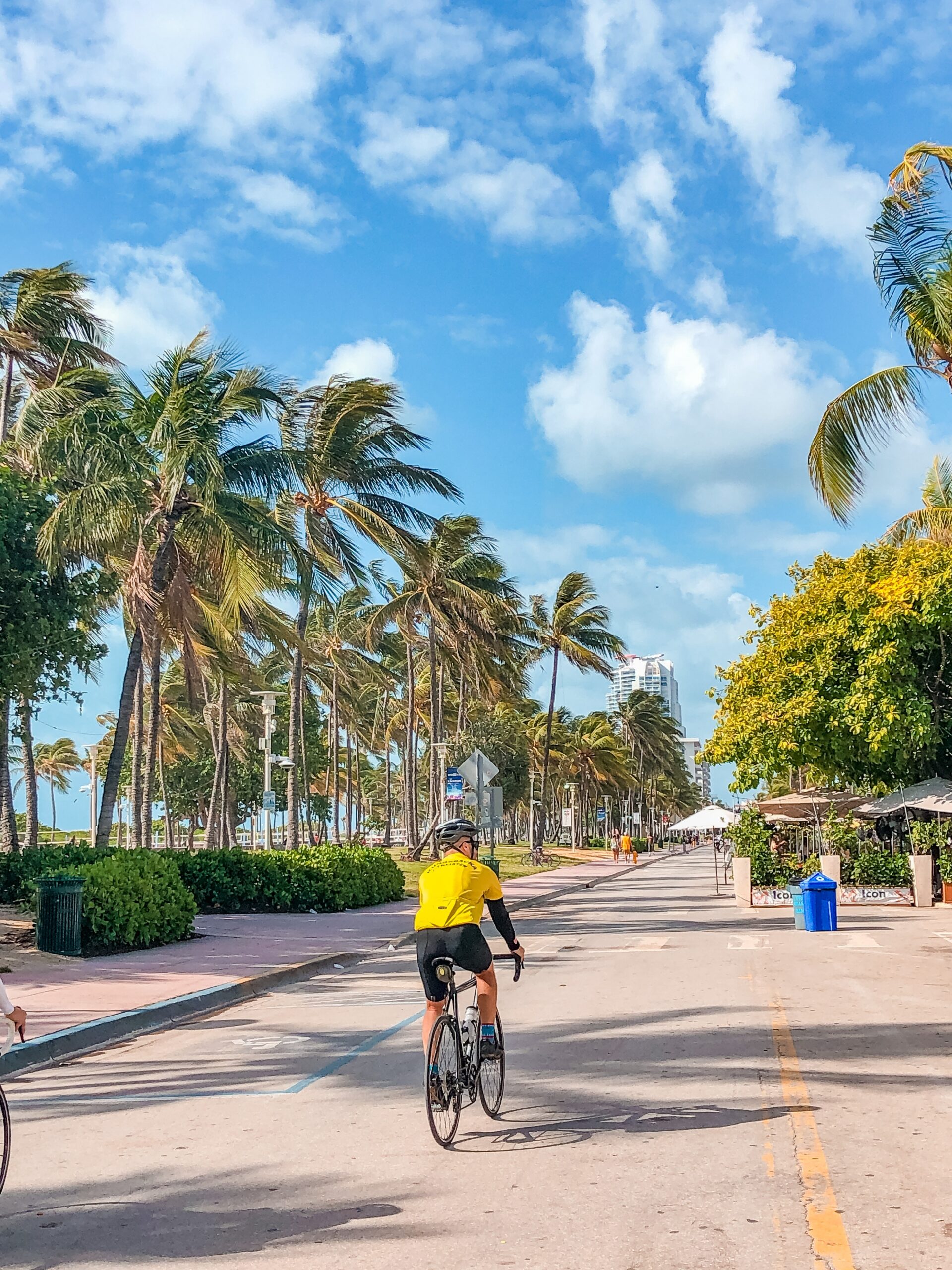 man in yellow riding a bike away from camera on a palm tree lined road, partly cloudy sky, in south Florida