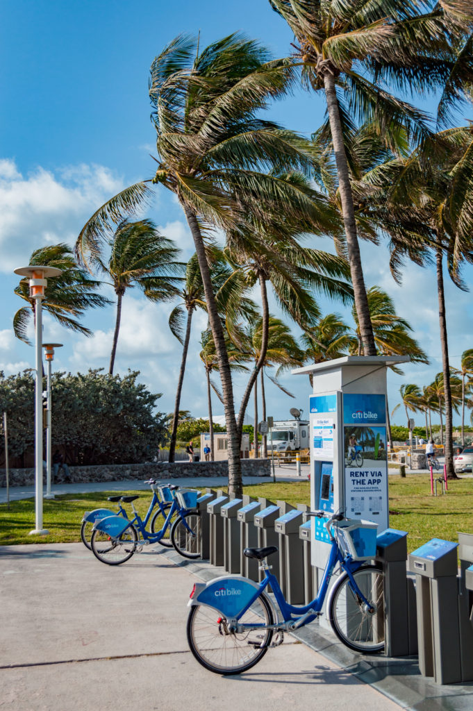 free bike station with blue Citi bikes and palm trees in the background blowing in the wind.