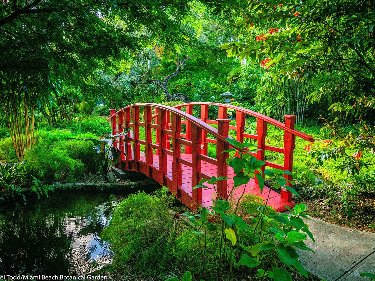 red footbridge over a small pond with lots of foliage surrounding in a botanical garden