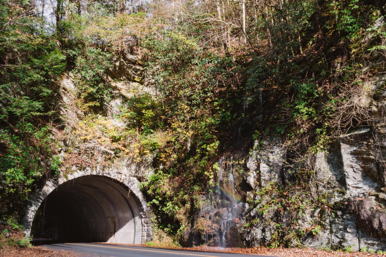tunnel with green foliage surrounding and a road going through with a very small waterfall to the right and a rainbow in the water