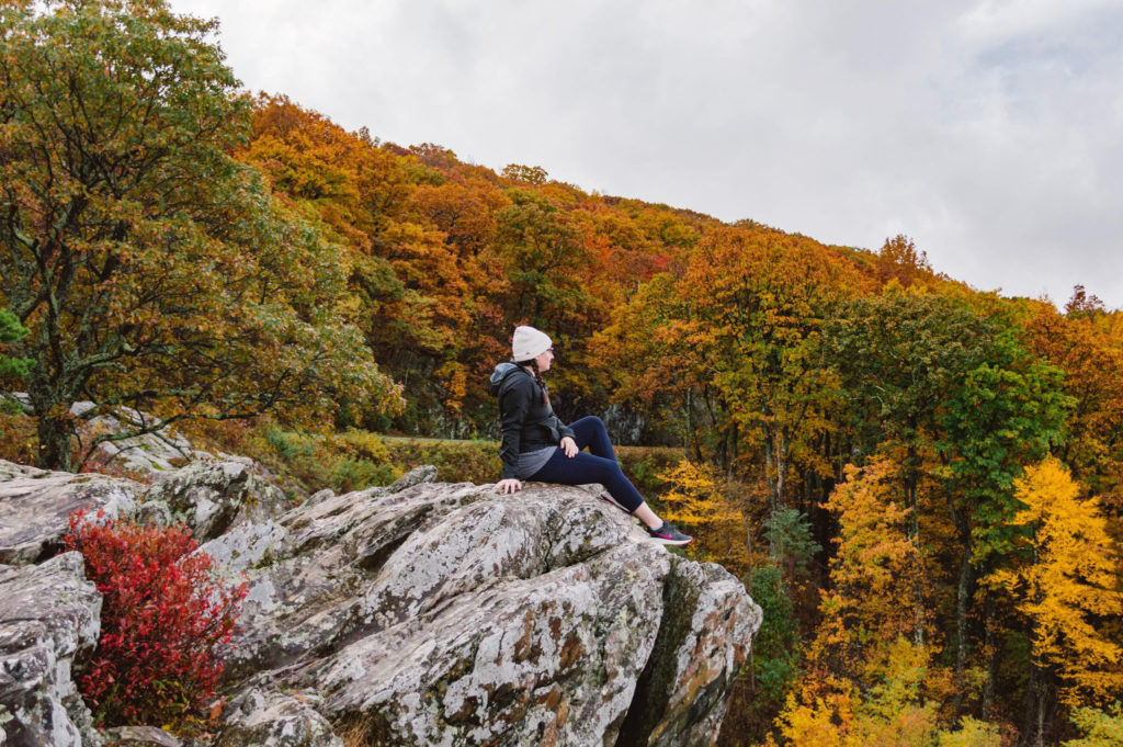 woman sitting on a rock with vibrant fall foliage in the background