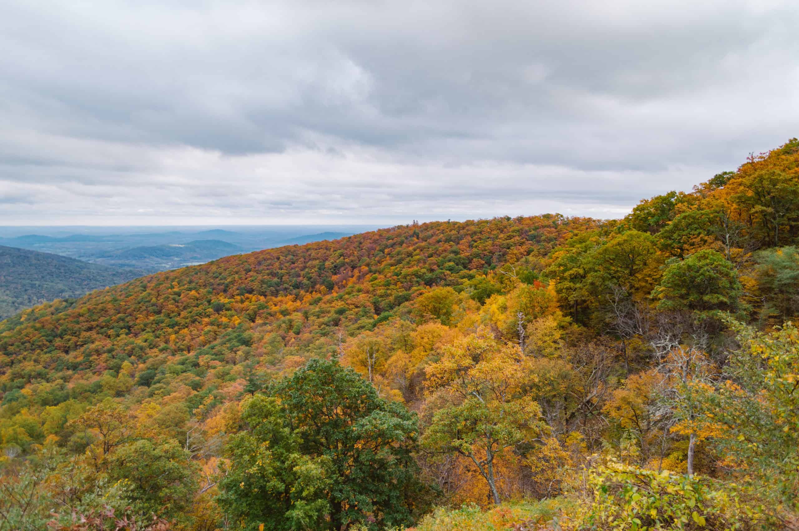 Fall foliage views along Blue Ridge Parkway in October