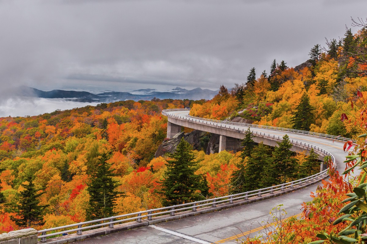 North Georgia Wildlife Guide, Blue Ridge Mountains