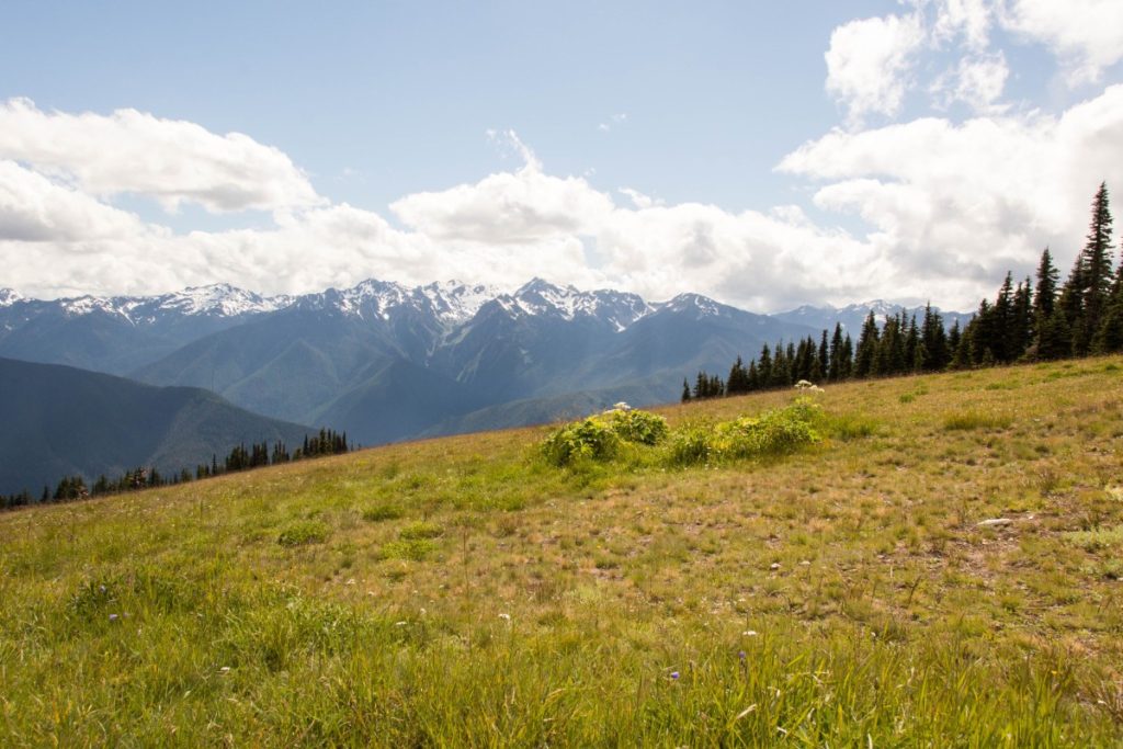 view of a mountain off in the distance while standing on a grassy hill