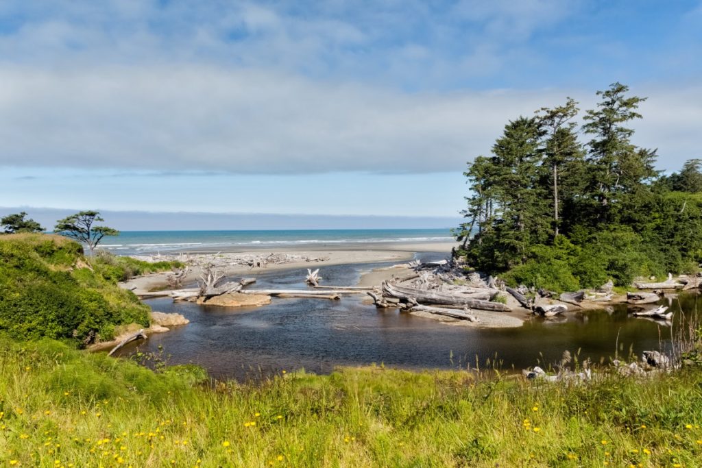 beach with grassy shore and forest lined cliffs