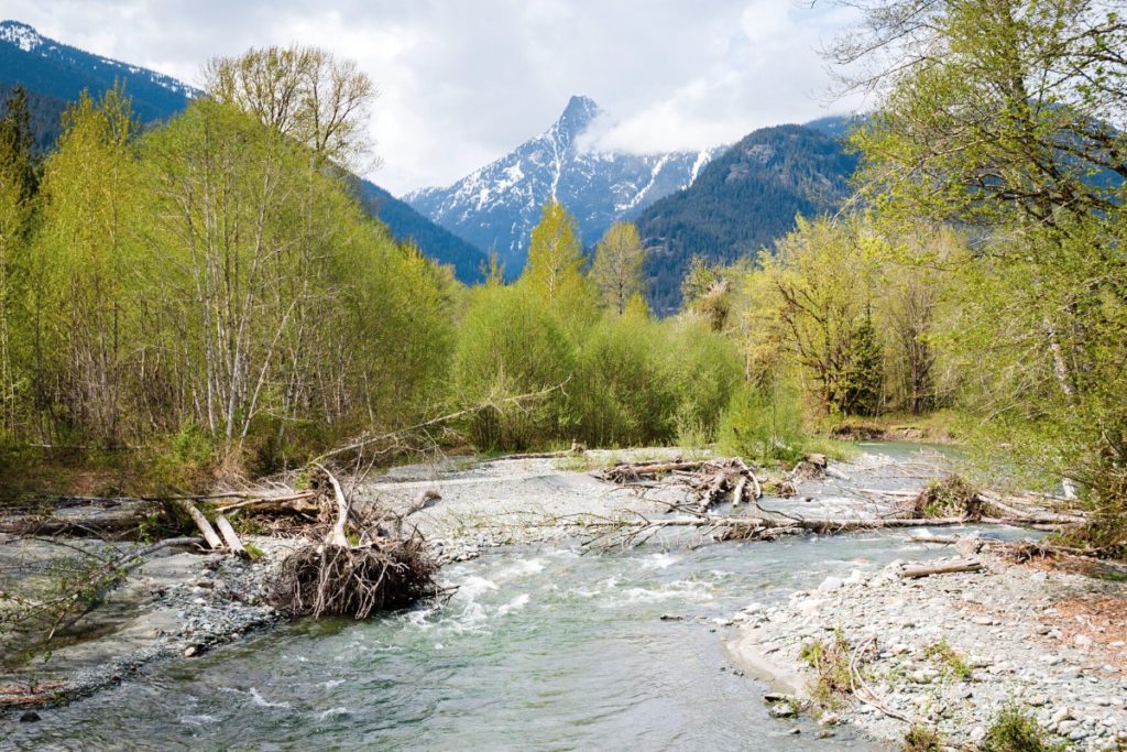 River leading into the mountains with greenery surrounding