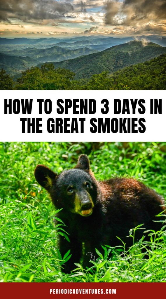 Here's how to spend 3 days in the Great Smoky Mountains for a perfect summer trip to the Smokies. This travel itinerary covers all the best things to do in Great Smoky Mountains National Park including where to stay in Great Smokies, what to do in the park, where to eat, and tips for visiting Great Smoky Mountains National Park. | Great Smoky Mountains National Park map | Great Smokies with Kids | great smoky mountains itinerary | great smoky mountains aesthetic | photography | Gatlinburg TN