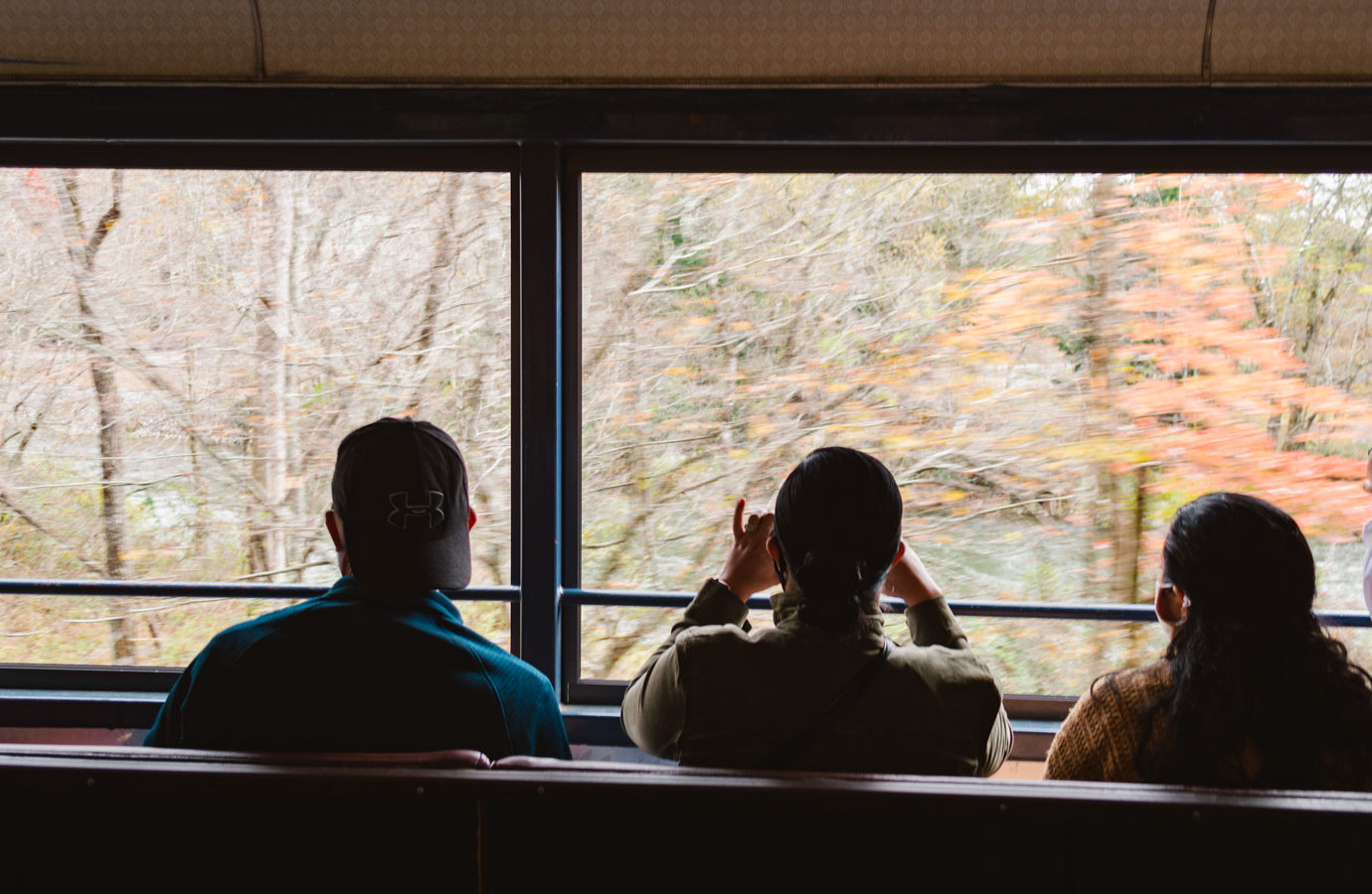 view from inside a train car looking out the side during fall in north Georgia