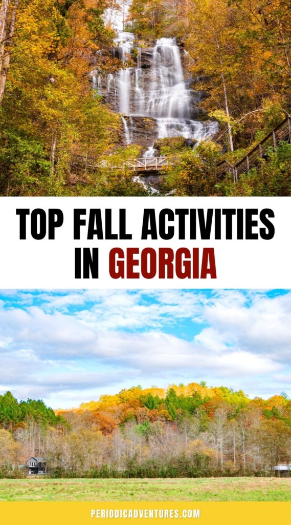 These are the top fall activities in Georgia for the perfect fall in Georgia. Don't miss the Blue Ridge scenic railway, Amicalola Falls, the Atlanta Botanical Gardens, and so many more ideas for the best fall in Georgia!