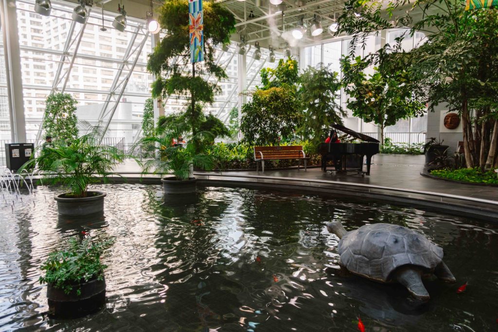 Downtown Calgary Gardens in a mall with a small pond, greenery and glass windows