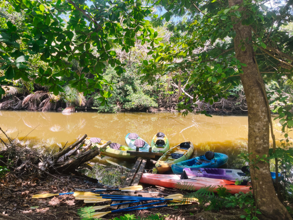 Kayaks docked on the side of a natural reserve water way in Punta Santiago