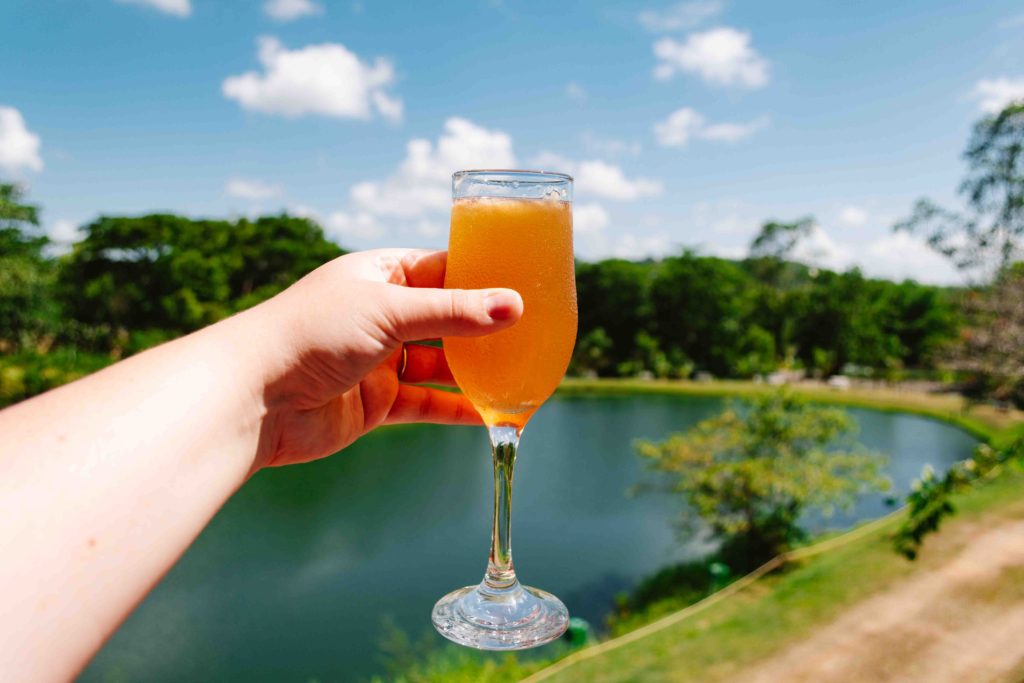 outstretched hand holding a Mavi orange drink with lake and vegetation in the background on a partly cloudy day