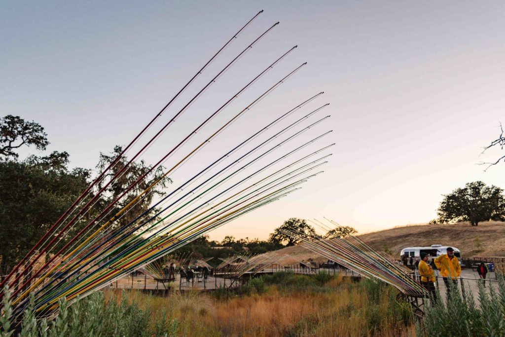 Exhibit of fishing poles over a xeriscaped pond