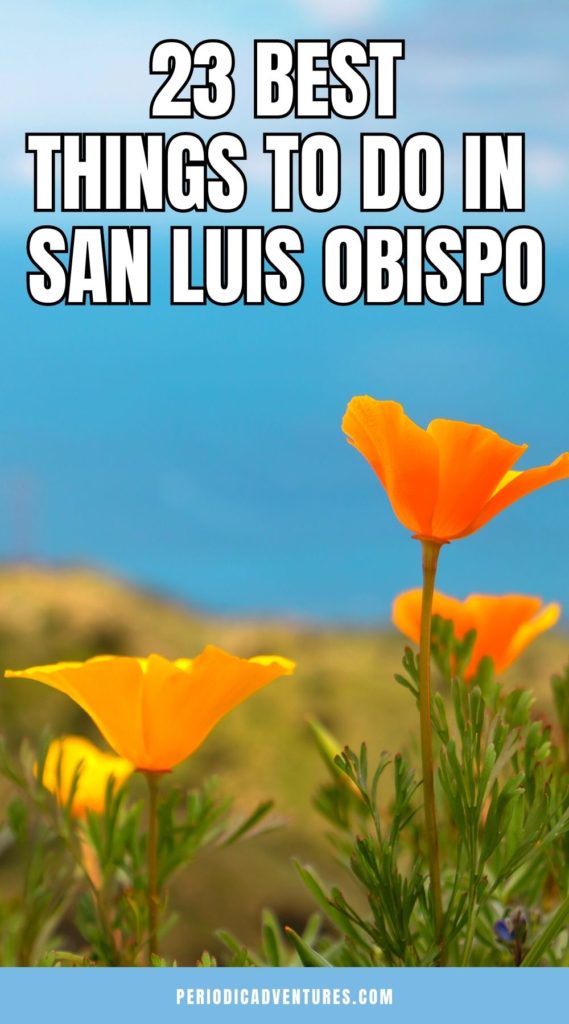 These are the 23 most fun things to do in San Luis Obispo California. Whether you're visiting San Luis Obispo county or the city, this travel guide to San Luis Obispo has everything you need to know when planning your Central California road trip. Some of San Luis Obispo attractions are Bishop Peak, Hearst Castle, the Creamery, Sunset Drive In, and more!