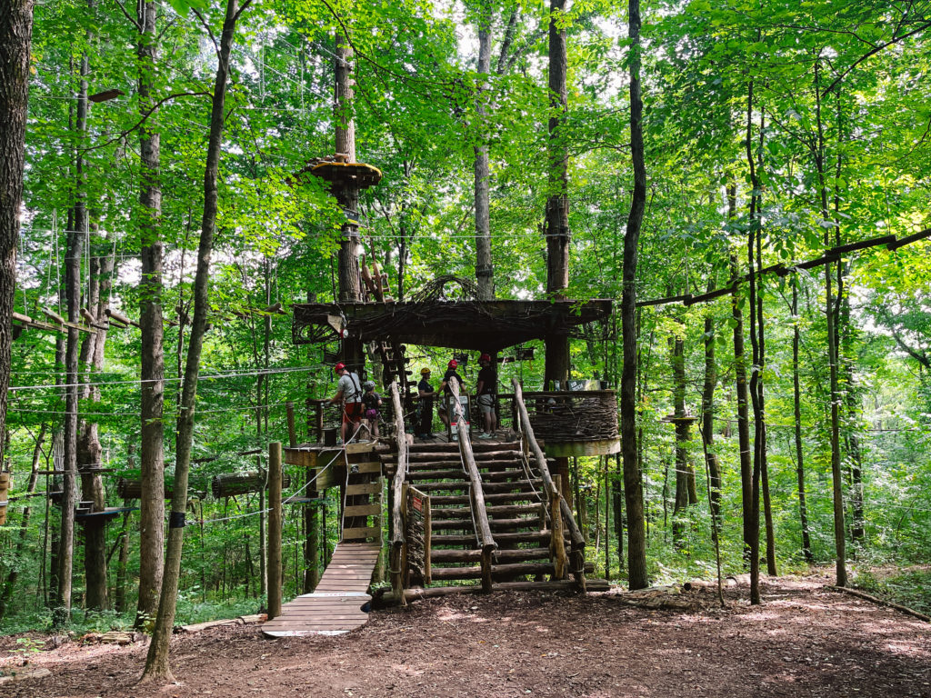 Ropes courses in Navitat Knoxville start from the treehouse pictured here during summer