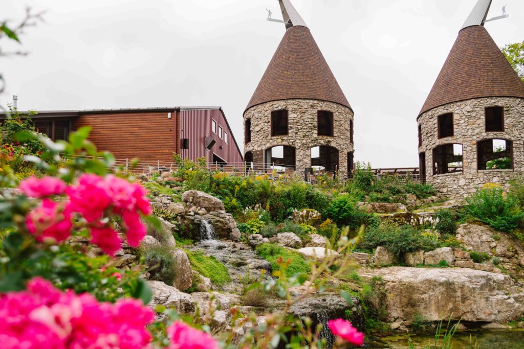 View of two oasts that have been repurposed with seating inside on a brewery property with pink flowers in the foreground