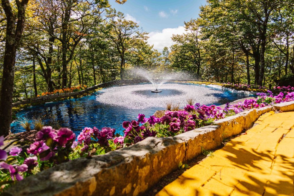 Water fountain in the mountains surrounded by green trees, purple curated flowers and a yellow brick road