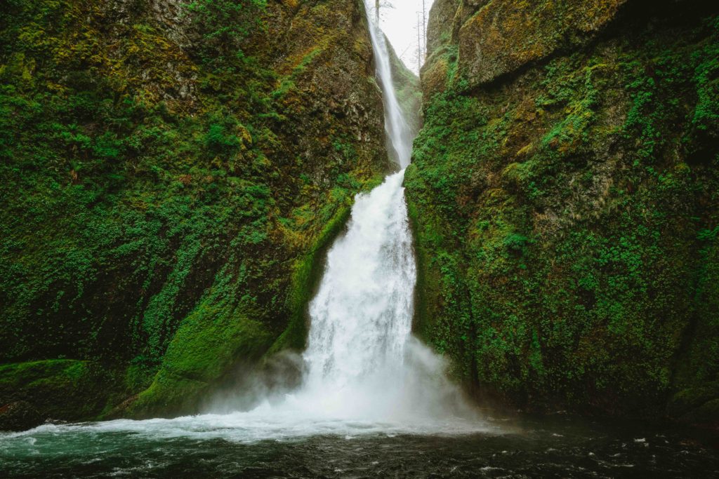 Waterfall shooting out of rock covered in plants in Pacific Northwest Oregon