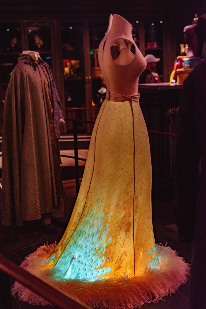 Dress where the bottom flowy piece lights up with a peacock on it