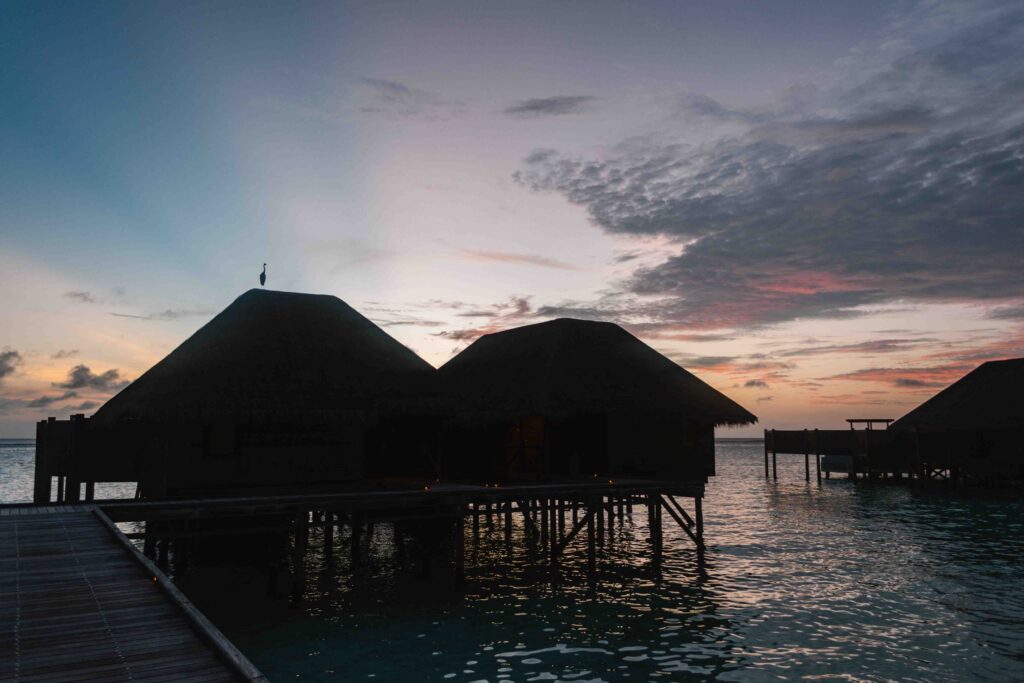 Bird sitting atop an overwater bungalow in the Maldives during sunset