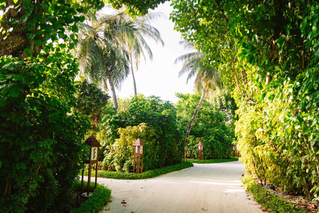 Walk everywhere in the Maldives because the islands are so small.