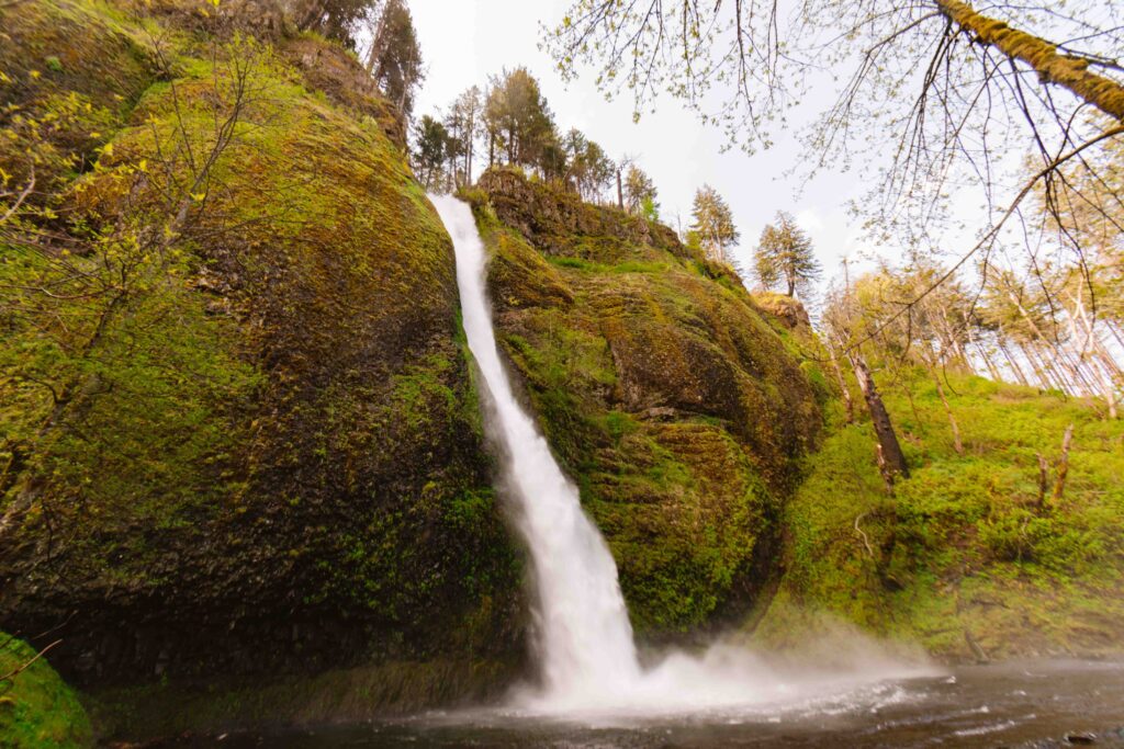 You don't need to hike to see Horsetail Falls, shown here, in Oregon as it sits along the road