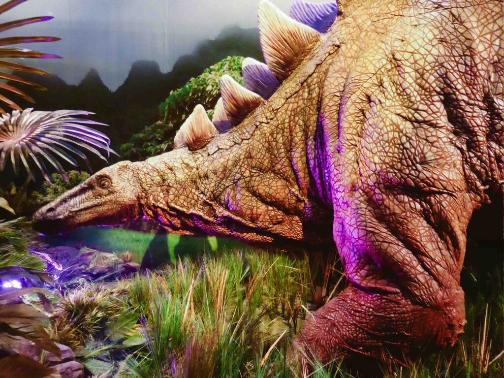 The Franklin Institute in Philadelphia Pennsylvania exhibit on dinosaurs
