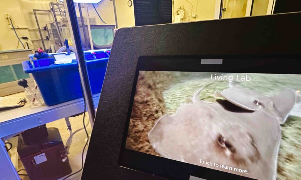 View of science museum research lab with sting rays on a monior