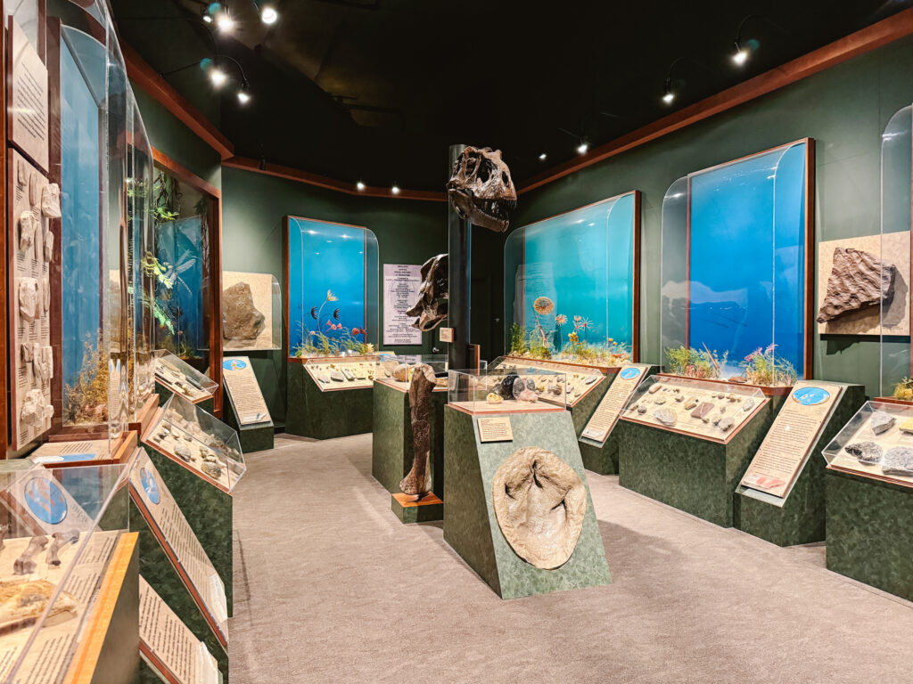 Knoxville Tennessee UT McClung History Museum on college campus with dinosaur fossils on display shown here, one of the best free things to do in Knoxville TN