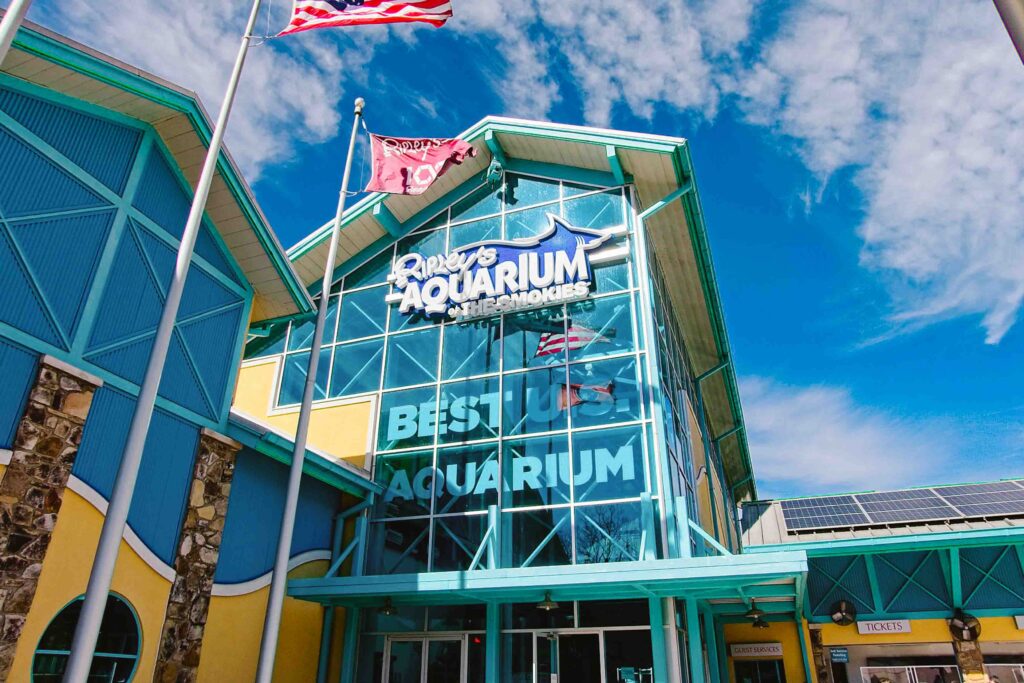 Aquarium of the Smokies by Ripley's located in Gatlinburg Tennessee
