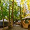 Yurt village in the Smokies on a sunny day