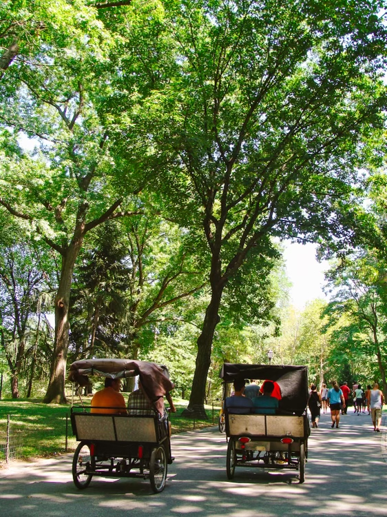 Two pedibikes in Central Park during summer