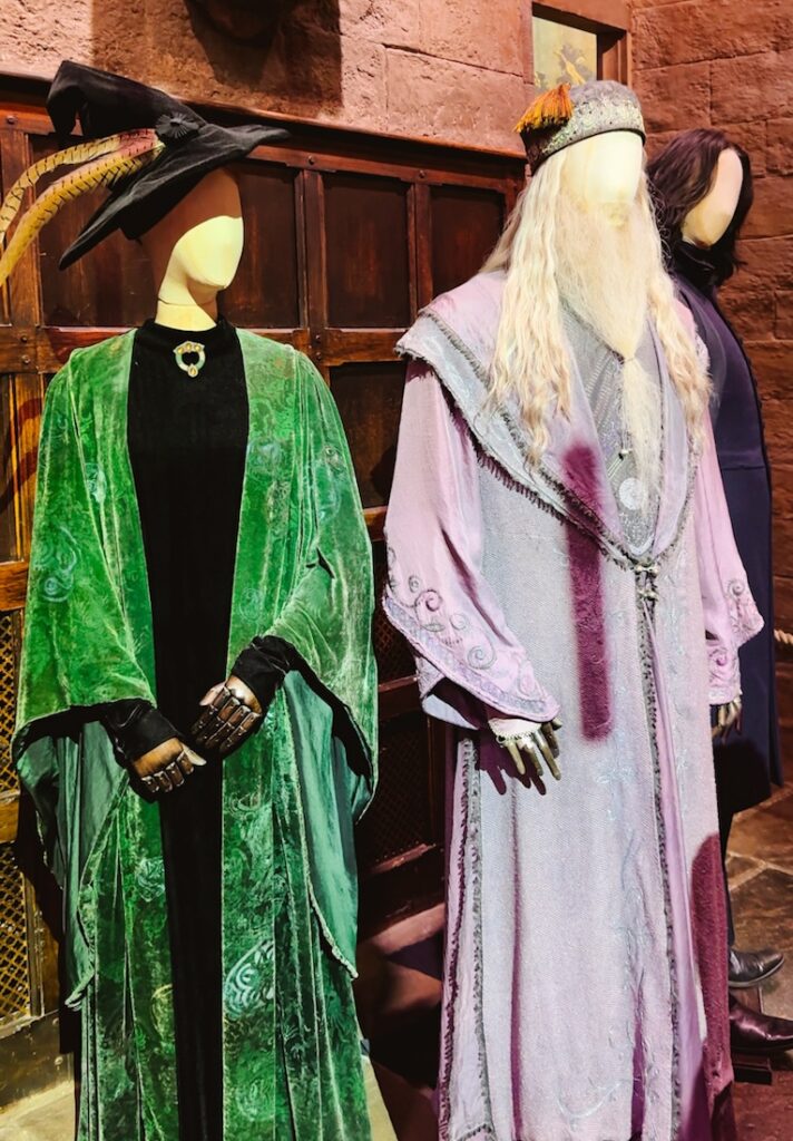 Professors McGonagall and Dumbledore costumes from Philosopher's Stone
