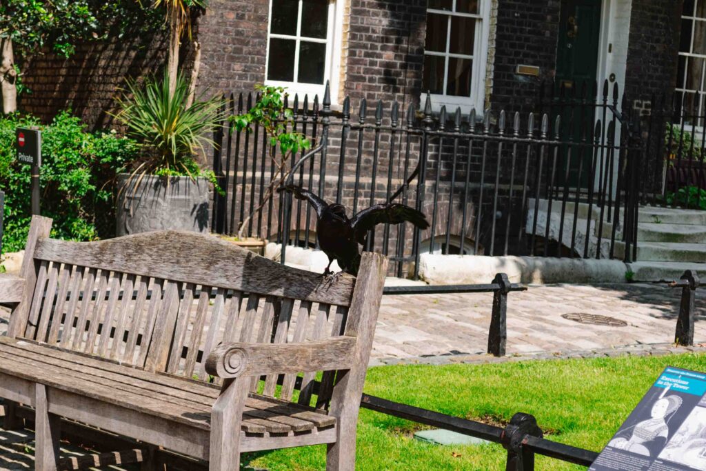 Tower of London ravens with one on a bench