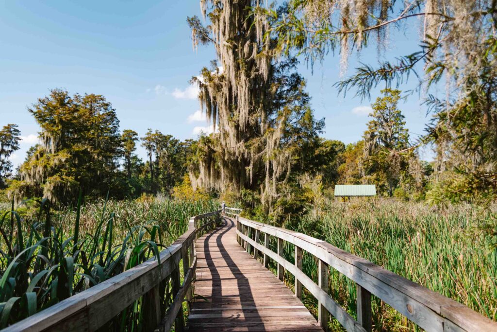 Summer at Phinizy Nature Center in Augusta