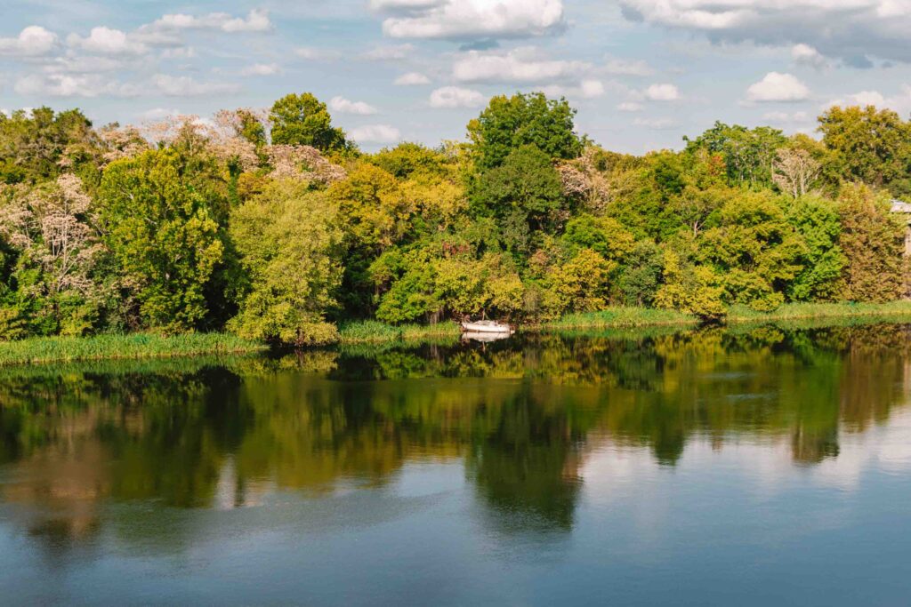 Savannah River boat sitting on the side against lush trees
